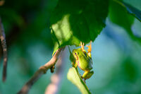 no name ( ID=2567104 ); comments:4