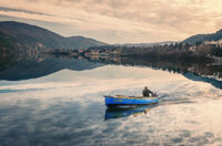 без име ( ID=2567128 ); Коментари:20