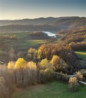 Крят на есента; Коментари:6