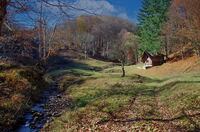 без име ( ID=2567172 ); Коментари:2