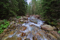 без име ( ID=2567174 ); Коментари:16