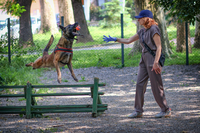 Арчи; Коментари:15