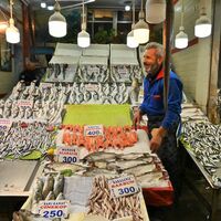 Балък :); comments:5