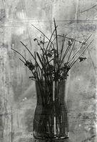 no name ( ID=2567197 ); comments:11