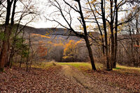 Нейде из Люлин планина; Коментари:5