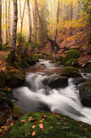 без име ( ID=2567214 ); Коментари:4