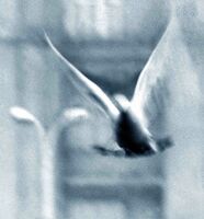 no name ( ID=2567215 ); comments:5