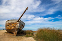 без име ( ID=2567228 ); Коментари:7