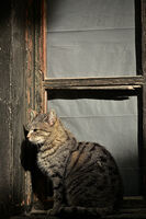 Утро..първи лъчи !; comments:1