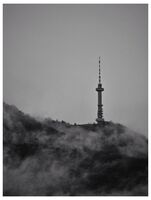 Копитото...; Коментари:2