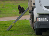 без име ( ID=2567253 ); Коментари:2