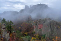 * * *; Коментари:17