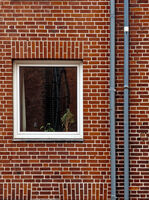 Стръкче живот; comments:18