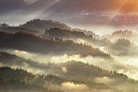 Утрото; Коментари:4