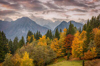 Есенна Словения; Коментари:9