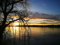 Дунавски залез; Коментари:6