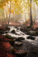 no name ( ID=2567426 ); comments:12