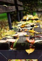 Цветно настроение; Няма коментари