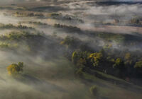 Сутрин; Коментари:14