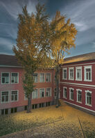 Училището; Коментари:7