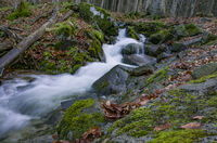 no name ( ID=2567533 ); comments:3