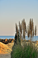 Краят на сезона; comments:2