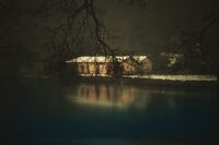 без име ( ID=2567612 ); Коментари:18