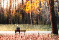 Заник; Коментари:1