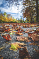 Есенен килим; comments:1