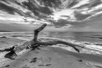 без име ( ID=2567640 ); Коментари:4