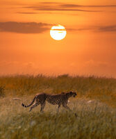 no name ( ID=2567641 ); comments:25