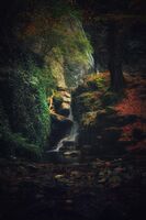 без име ( ID=2567672 ); Коментари:1