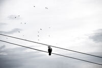 no name ( ID=2567680 ); comments:1