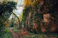 скалата; comments:2