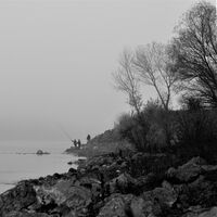 no name ( ID=2567700 ); comments:7