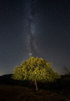 без име ( ID=2567724 ); Коментари:2