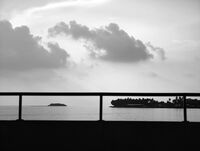 no name ( ID=2567731 ); comments:4