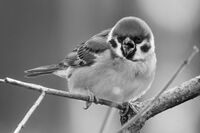 Не ме снимай бре!:); comments:30