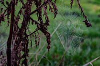 Ноември; Коментари:3