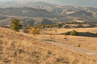 no name ( ID=2567764 ); comments:2