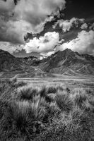 без име ( ID=2567788 ); Коментари:5