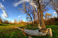 без име ( ID=2567799 ); Коментари:2