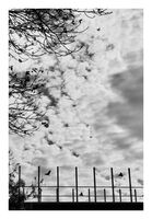 no name ( ID=2567857 ); comments:15