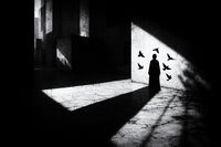 Гласовете на бетонния оракул; Коментари:47