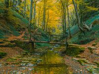 Есенни отражения; comments:6