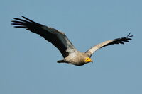 no name ( ID=2567903 ); comments:6