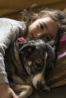 Тяхната любов; Коментари:8