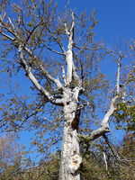 no name ( ID=2567918 ); No comments