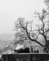 без име ( ID=2567929 ); Коментари:2