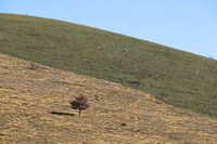 без име ( ID=2567931 ); Коментари:4